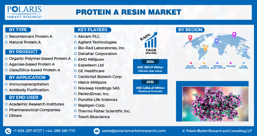 Protein A Resin Market Size